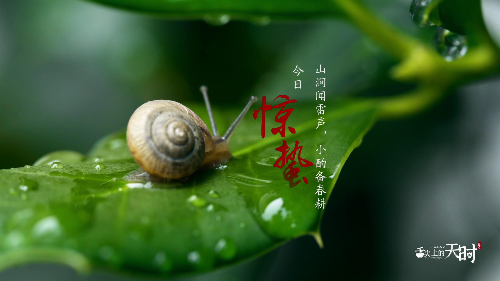 &#22810;&#23453;&#32593;&#39029;&#29256;&#45;&#22810;&#23453;&#65288;&#20013;&#22269;&#65289;